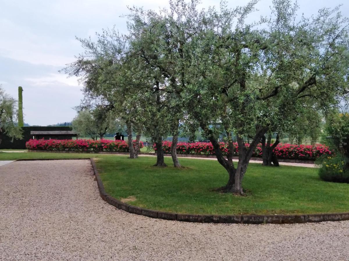 Agriturismo Le Ginestre Лацизе Экстерьер фото