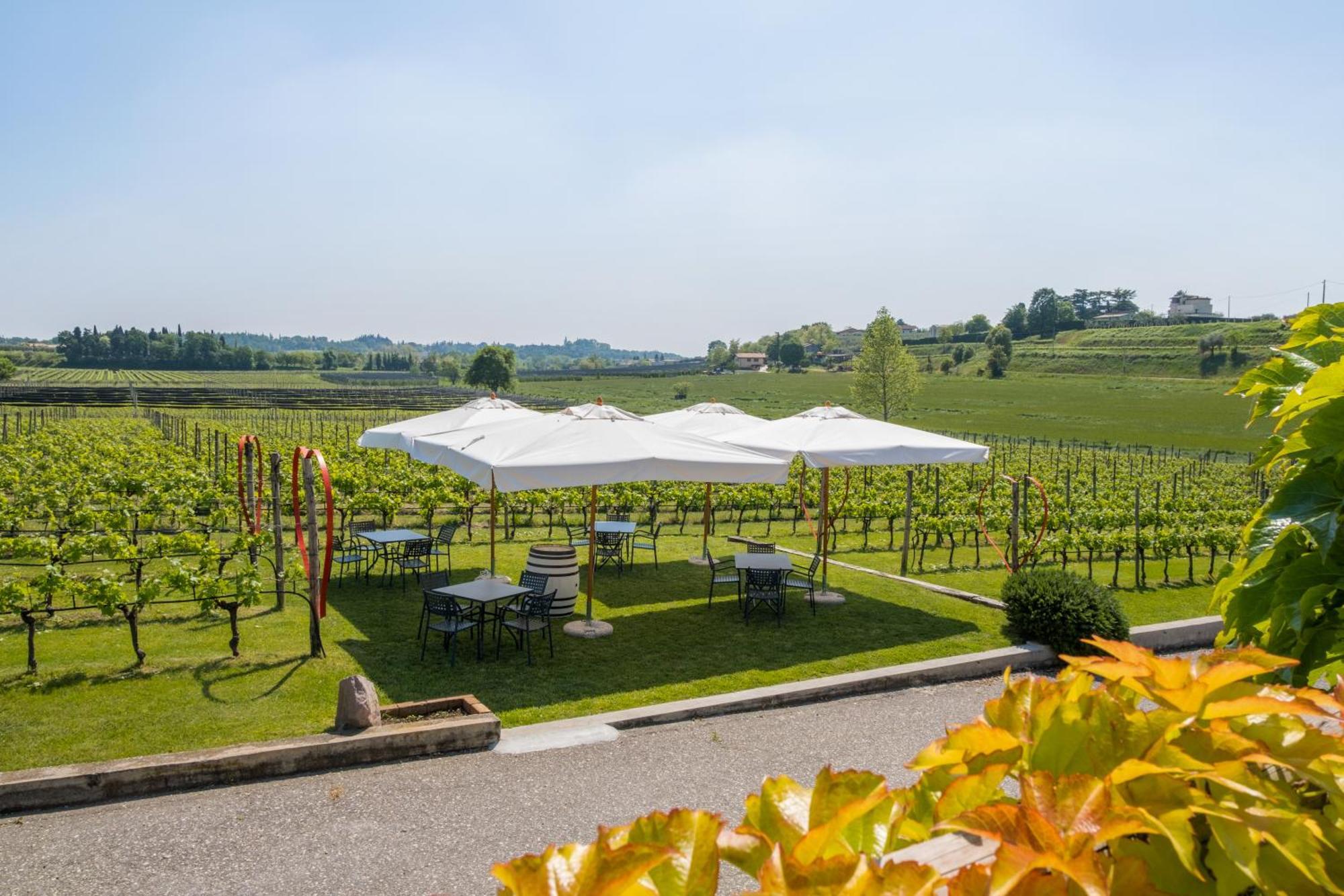 Agriturismo Le Ginestre Лацизе Экстерьер фото